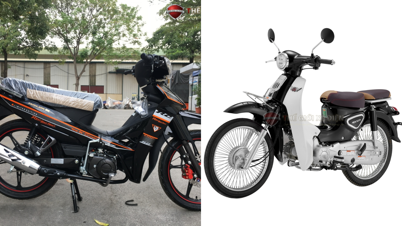 So sánh xe máy 50cc Sirius Hyosung 2023 và Cub New Ally 50SE